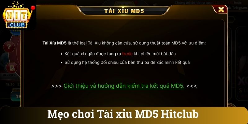 Mẹo chơi Tài xỉu MD5 Hitclub