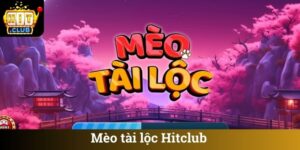 Mèo tài lộc Hitclub